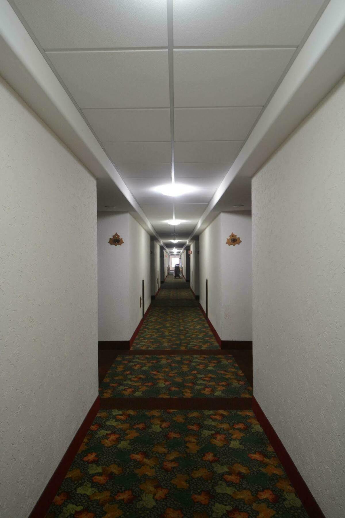 Hotel Sicomoro Chihuahua Bagian luar foto
